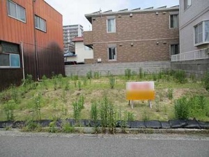 広島市西区庚午中四丁目