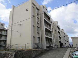 井口鈴が台分譲住宅Ｄ棟